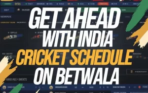 india cricket schedule